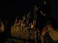  Camel riding in the night