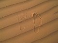  My footprint