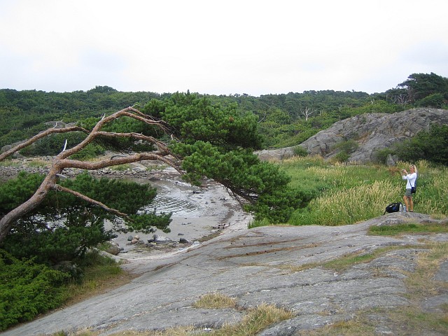 IMAGE_0012