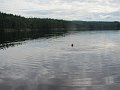 IMG_0604