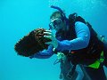  Linda playing with sea cucumber