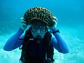  Me playing with sea cucumber