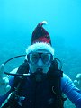  Merry christmas diving on the G B Reef!