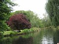  Nice setting in the Botanical Gardens