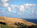  Paragliders