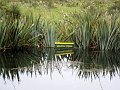  Mirror lakes