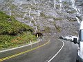  Homer tunnel