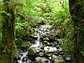  Small waterfalls in the rainforest