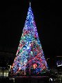  Weird Christmas tree with kangaroos and stuff, in Darling Harbour