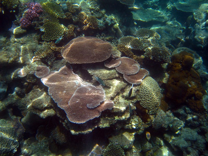 IMG_7086