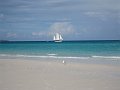  Whitehaven beach