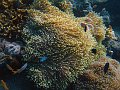  Coral garden, Tulamben