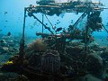  Coral garden, Tulamben