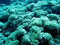  Crystal bay, Nusa Penida