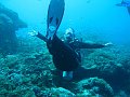  Crystal bay, Nusa Penida