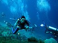  Crystal bay, Nusa Penida