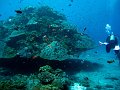 Crystal bay, Nusa Penida