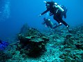  Ped, Nusa Penida