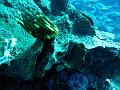 Ped, Nusa Penida