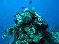  Ped, Nusa Penida