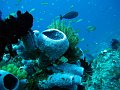  Ped, Nusa Penida