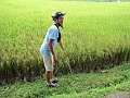  Rice and our guide Joe