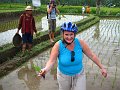 Rice plantation