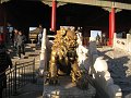  Forbidden City