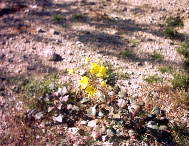 08mar0010