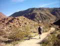  Raz on the trail, nearing the end