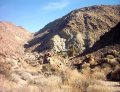  Yep, the trail ended at the Fortynine Palms' Oasis