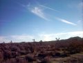  After the hike, we went on a route through the park by car
