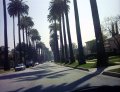  Another road in the Beverly Hills
