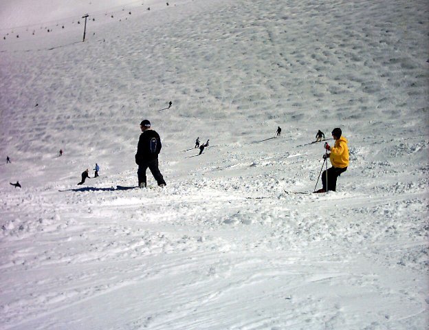20mar0006