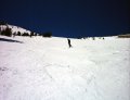  Raz enjoys surfing the soft snow