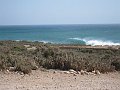  Great place for surfers!