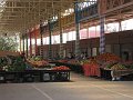  Fruit market