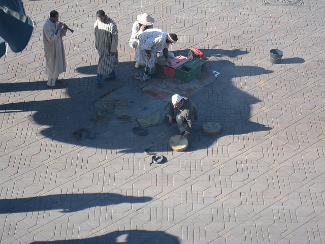 IMG_0883