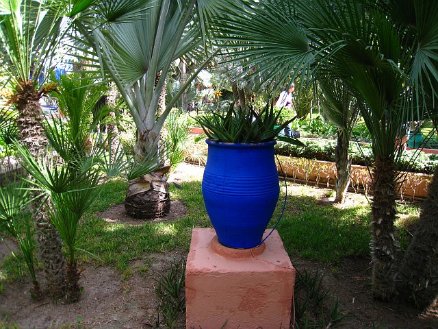 IMG_1034