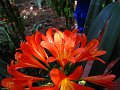  Majorelle Gardens, Marrakech