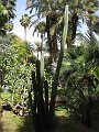  Majorelle Gardens, Marrakech