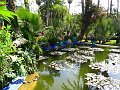  Majorelle Gardens, Marrakech