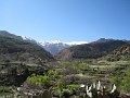  Almond trees, cactus and villages on the road to Oukaimeden