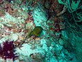 IMG_0205