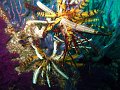 IMG_0206