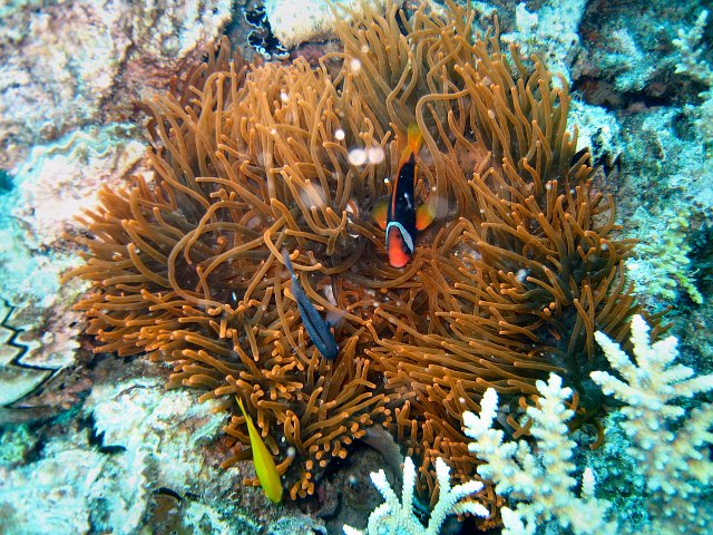 IMG_2163