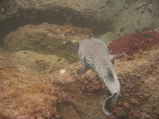 IMG_0017