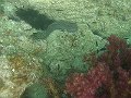 IMG_0043